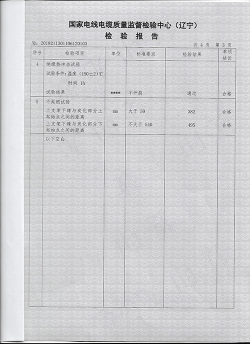 BV-检验报告