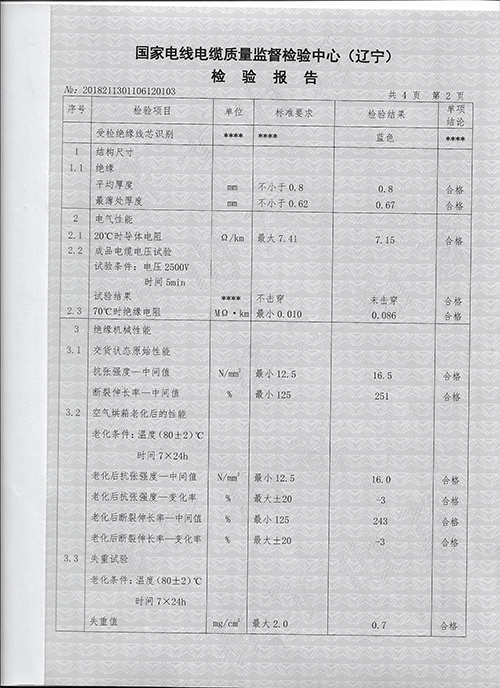 BV-检验报告